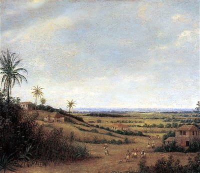 Frans Post na arte brasileira